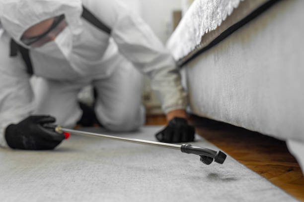Professional Bed Bug Control technician working in Lincoln County County, ID